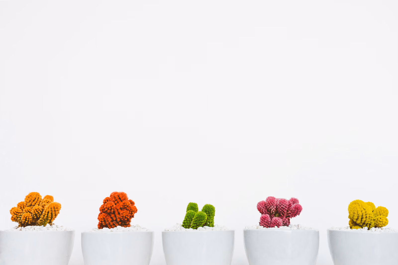 Cover image for placeholder article 06