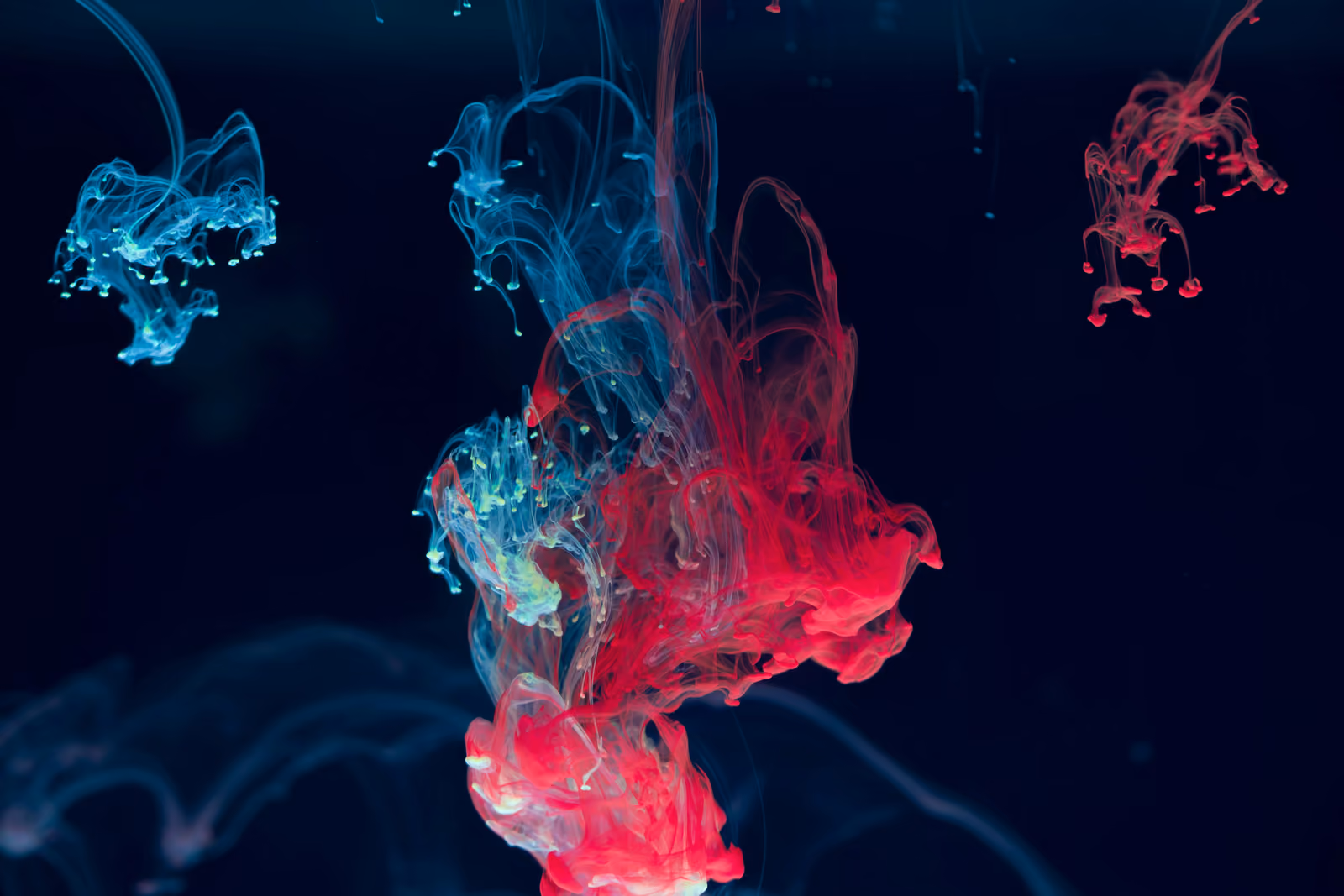 Cover image for placeholder article 08